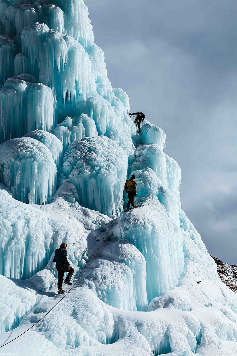 Exciting Expeditions